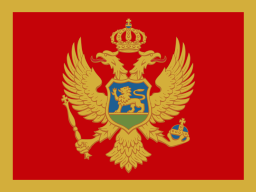 MNE